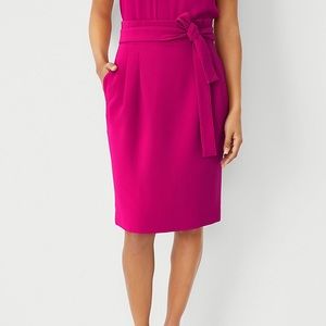 NWT Tie Waist Paperbag Pencil Skirt